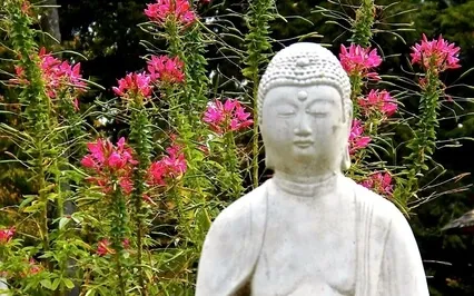 We Are Made For These Times