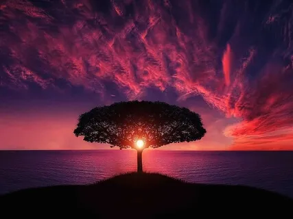 We Are Nature - Handpan Music And Ram Dass Voice