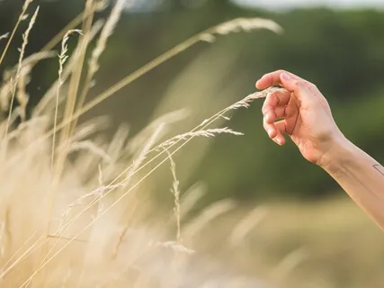 Love Meditation:  We Are One