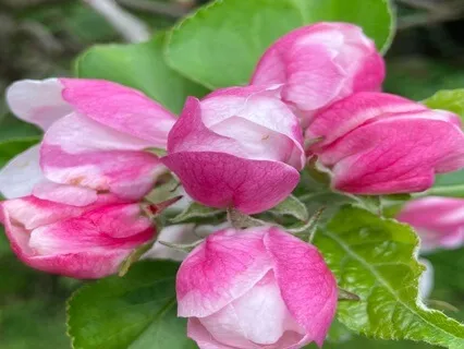 We Are One. A Mindful Bedtime Story For Children.