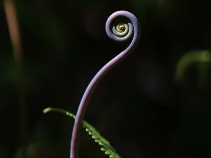 We Are One Perfect Being Meditation For Connection