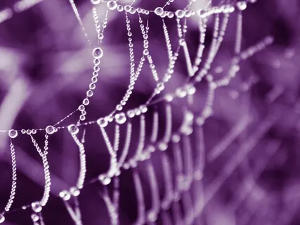 We Are One (Piano Music)