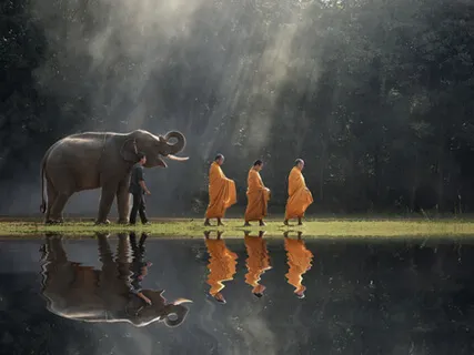 We Are Part Of The Animal Kingdom (2nd Of January)