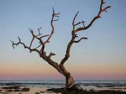 We Are The Culmination Of All Our Past Lives