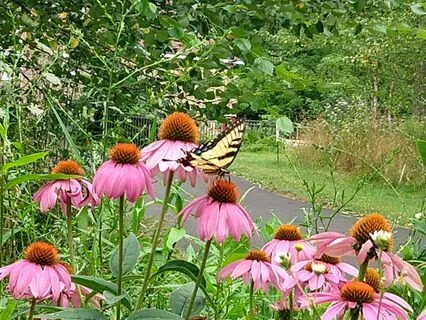 We Are The Cycle Breakers
