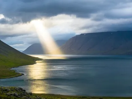 We Aren't Just Dealing With Our Individual Painbodies, But The Collective Ones Also