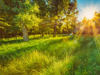 We Did It, Tim, We're Millionaires