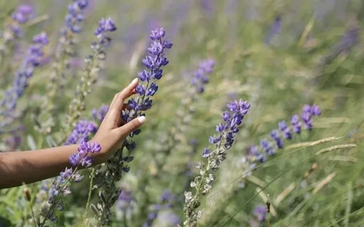 We Don’t Have To See It To Believe It