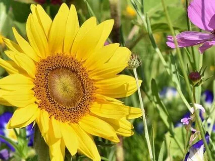 We May Be On The Right Track When The Journey Feels Ordinary