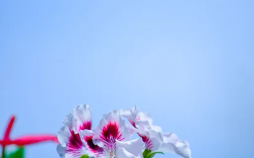 We Need To Protect Our Consciousness