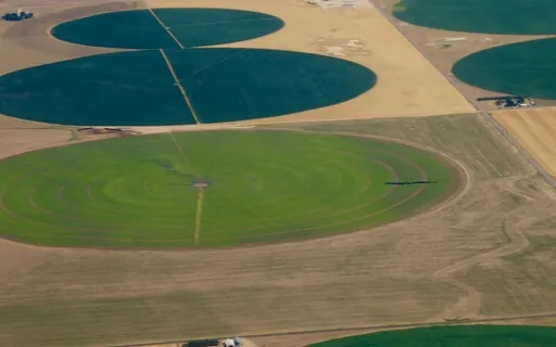 We Run To You With Burning Desire