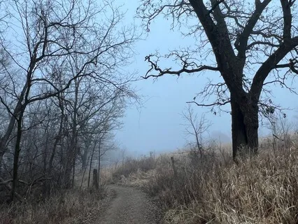 We Will Find Our Way Home