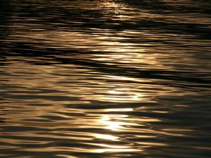 Wealth Encoding Practice