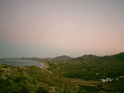 Wealth Identity Embodiment