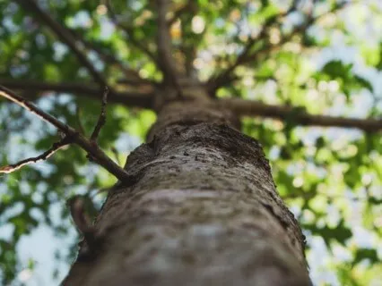 Wealth Lives Within You