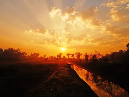 Wealth Now: How To Get 80% Of What You Want And To Feel Prosperous Today