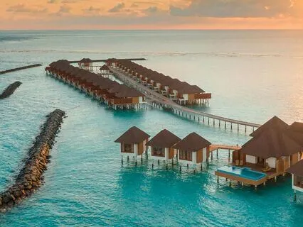 Wealth, Peace & Manifestation Sleep Music