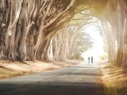 Wealth Through Ease: A Guided Alignment Meditation