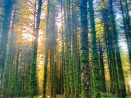 Wealth, Value, & Self-Worth Healing Meditation