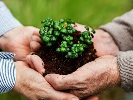 Weapons To Wisdom: Building A Peace Compact For The Planet