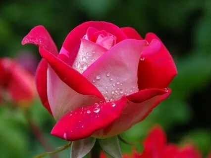 Weathering Moods - June 11