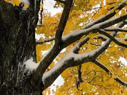 Weathering The Storm: An Adventure In Resilience