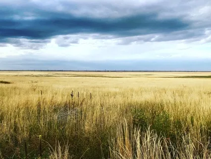 Weathering The Storm Of Life