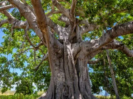 Weathering The Storm: Your Inner Strength & Peace - 852 Hz