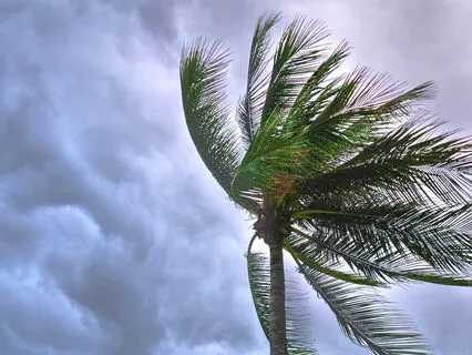 Weathering The Winds Of Divorce