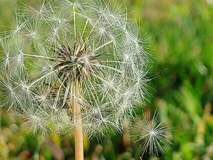 Wedding Day Meditation