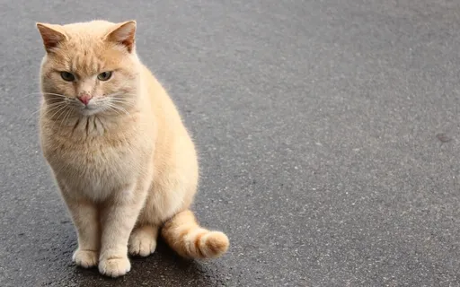 Wednesday Pause: Arriving In The Moment