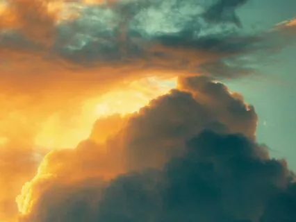 Wednesday's Inspirations - A Symbol Of Wisdom And Knowledge