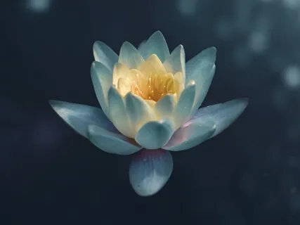 Mindfulness Of Breath