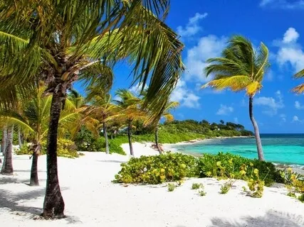 Week 1 Of Guided Meditation & Yoga Nidra Live