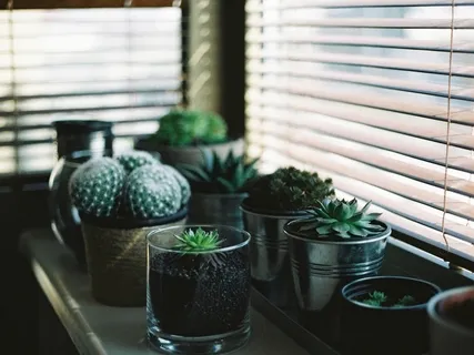 Week 10 Of Guided Meditation & Yoga Nidra Live