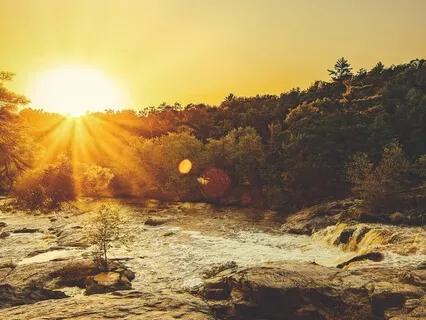 Week 15 Of Guided Meditation & Yoga Nidra Live