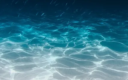 Week 2: Mindfulness Of Body & Breath 