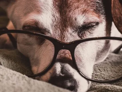 Week 4 My Off Switch 28-Day Challenge Relaxing Body Scan