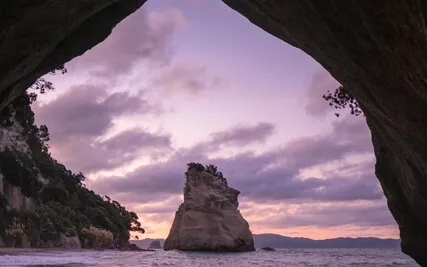 Week 5: Mindfulness Of Thought