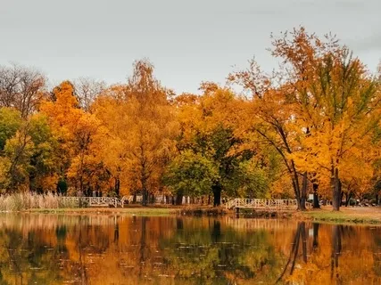 Week 5 Of Guided Meditation & Yoga Nidra Live