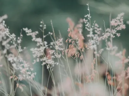 Week 7 Of Guided Meditation & Yoga Nidra Live