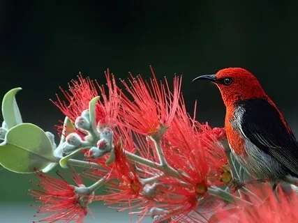 Week 9 Of Guided Meditation & Yoga Nidra Live