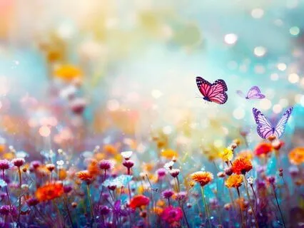 Weekly Manifesting & Attunement  (Symbol Meditation)