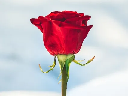 Weekly Reflection Practice