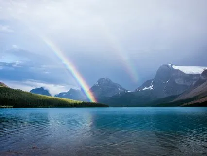 Weekly Review & Reflection Meditation for Joy & Appreciation