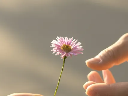 Weight Management & Body Positivity