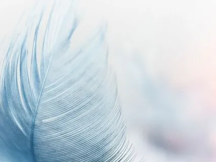 Weightless (Acoustic)