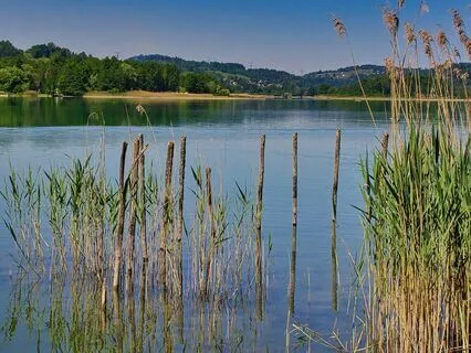 Weightless Calm - Relaxing Study Music for Concentration