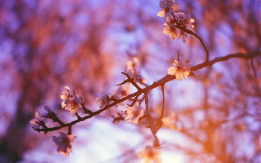 Weightless (Celebration)