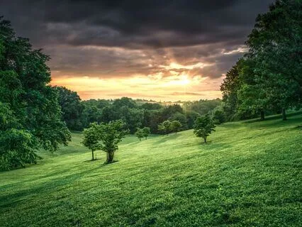 Weightless Peace: Find Your Center